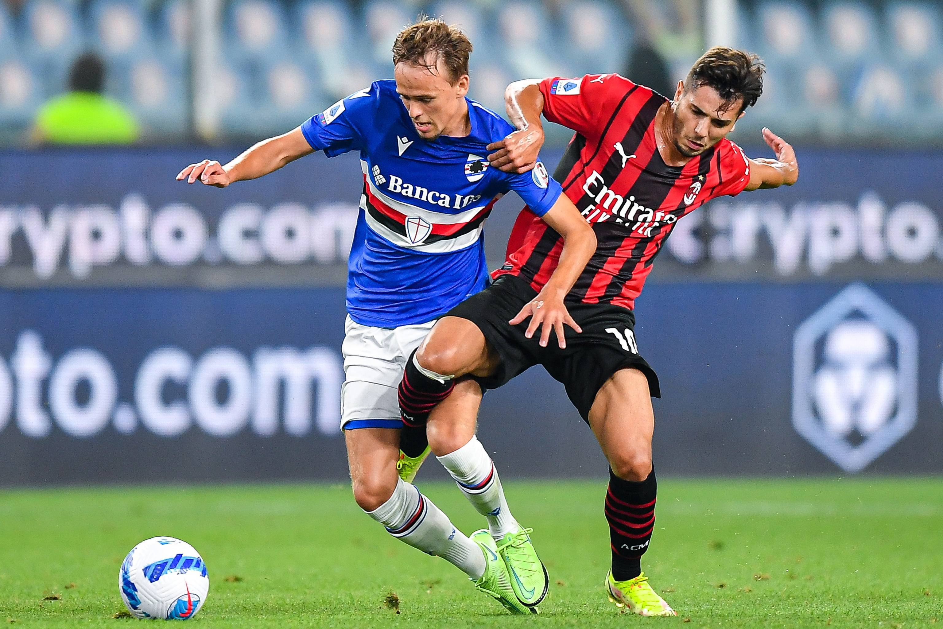 范弗利特這 范弗利特這