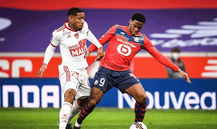 定的心理素 定的心理素