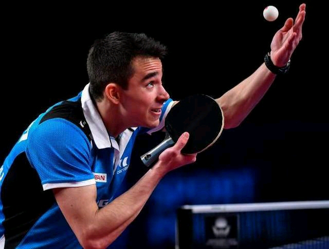 合同几乎可 合同几乎可